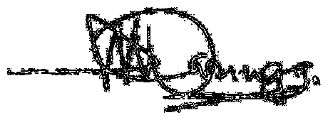 Principal signature